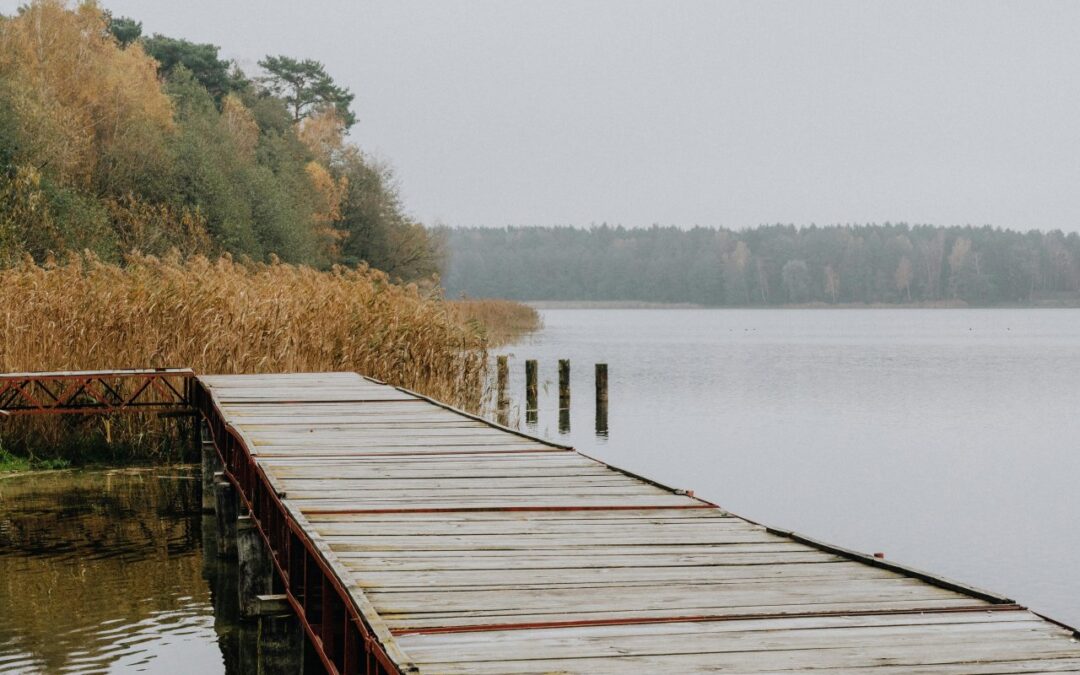 Weekend w duchu eko – jak zaplanować wyjazd przyjazny środowisku?