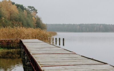 Weekend w duchu eko – jak zaplanować wyjazd przyjazny środowisku?